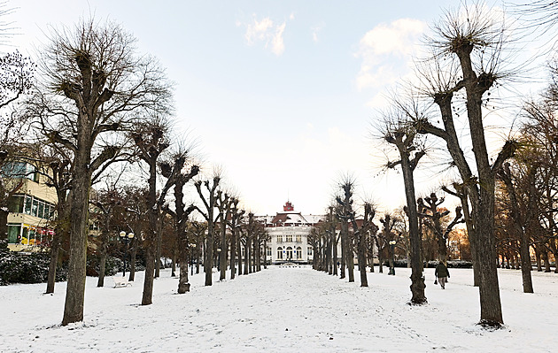 Tři stromořadí nominoval Karlovarský kraj při návratu do soutěže Alej roku