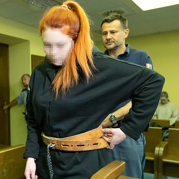 Trest za vraždu novorozenců platí. Bylo by to i na výjimečný trest, míní soudce