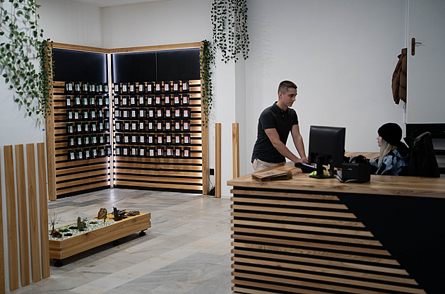 Kratom nově: Bez dětí, kilovek a dráž. Zmapovali jsme, jak to funguje v praxi