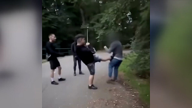 VIDEO: Tři na jednoho. Parta násilníků si natočila napadení mladíka v lesoparku