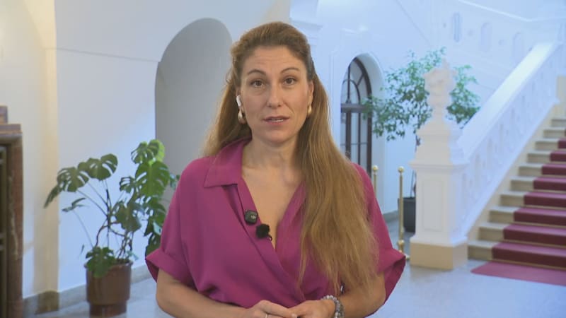 Decroix k bitcoinové kauze: Hon na čarodějnice. Z justice se dělá prodloužená ruka vlády