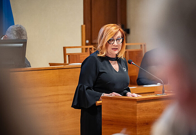 Sněmovna opět řeší zákon o regulaci cen paliv. Je to zájem Česka, tvrdí Schillerová