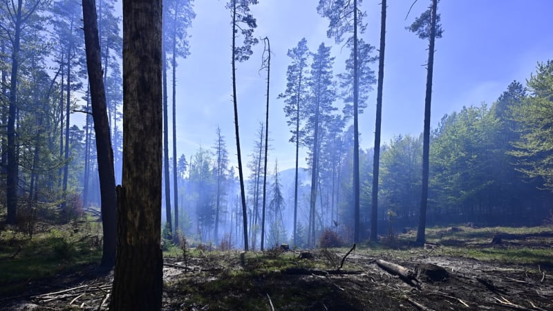 Mění se klima, připustil Červený. Kvůli požáru v Českém Švýcarsku chce přehodnotit pravidla
