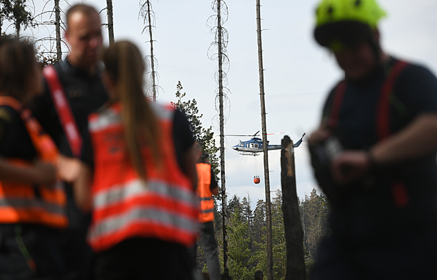 Do Českého Švýcarska se sjeli kriminalisté. Vznik požáru? Máme indicie, říkají