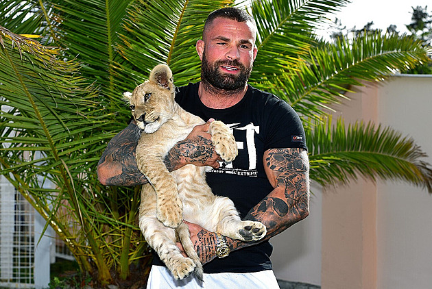 Vémolovi odebrali lvici s odstraněnými drápy, zvíře si převzala liberecká zoo